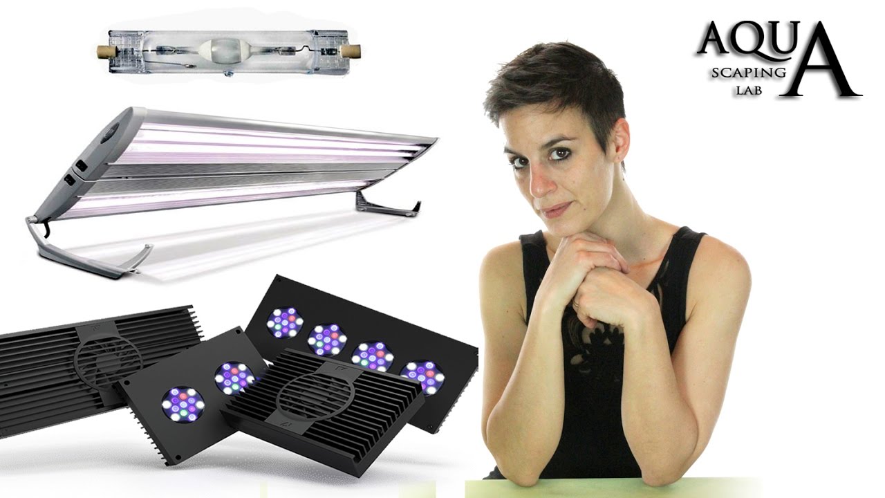 Aquascaping Lab - Illuminazione acquario marino, plafoniere LED, lampade NEON e HQI, differenze