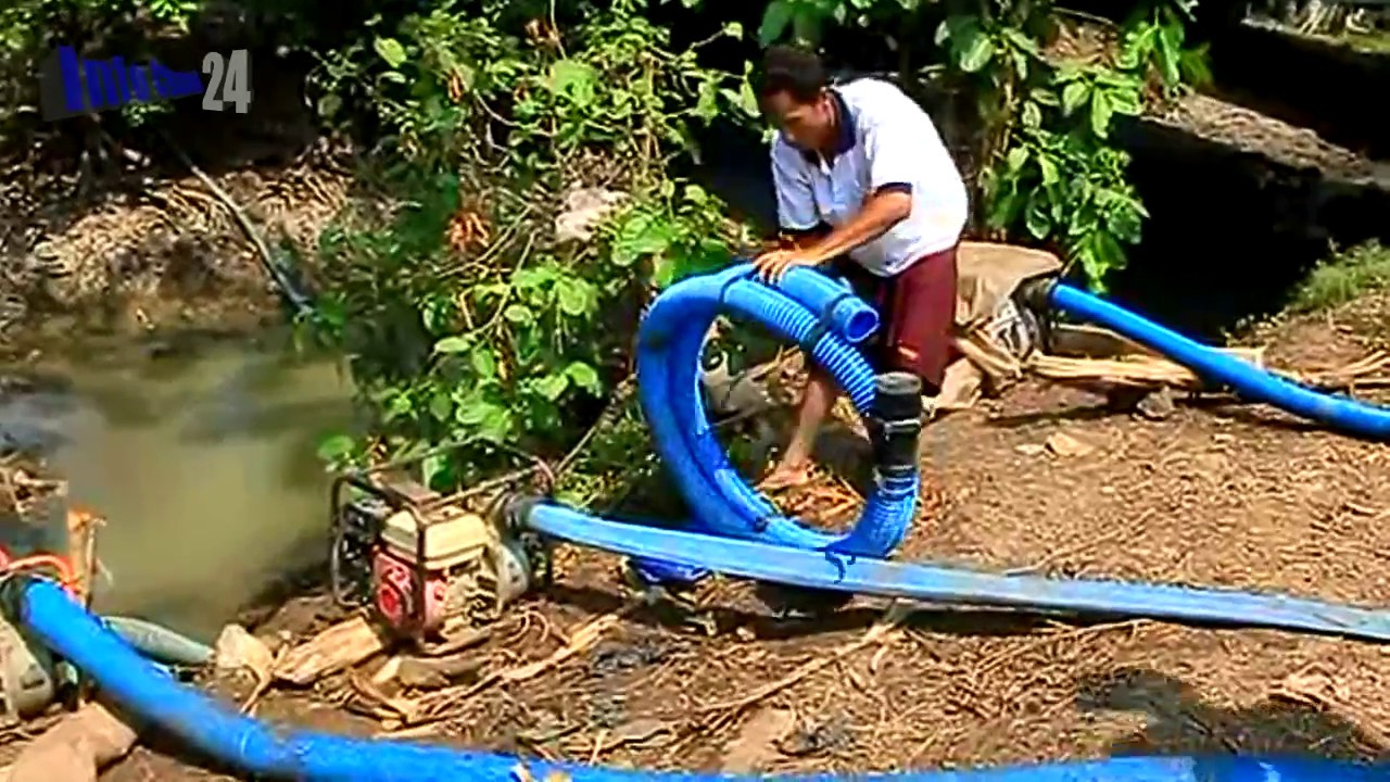 Petani Kreatif Atasi Kemarau dan Kekeringan