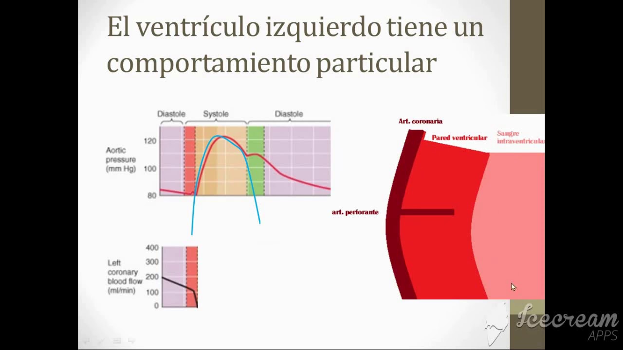 Circulación coronaría Fisiología UBA
