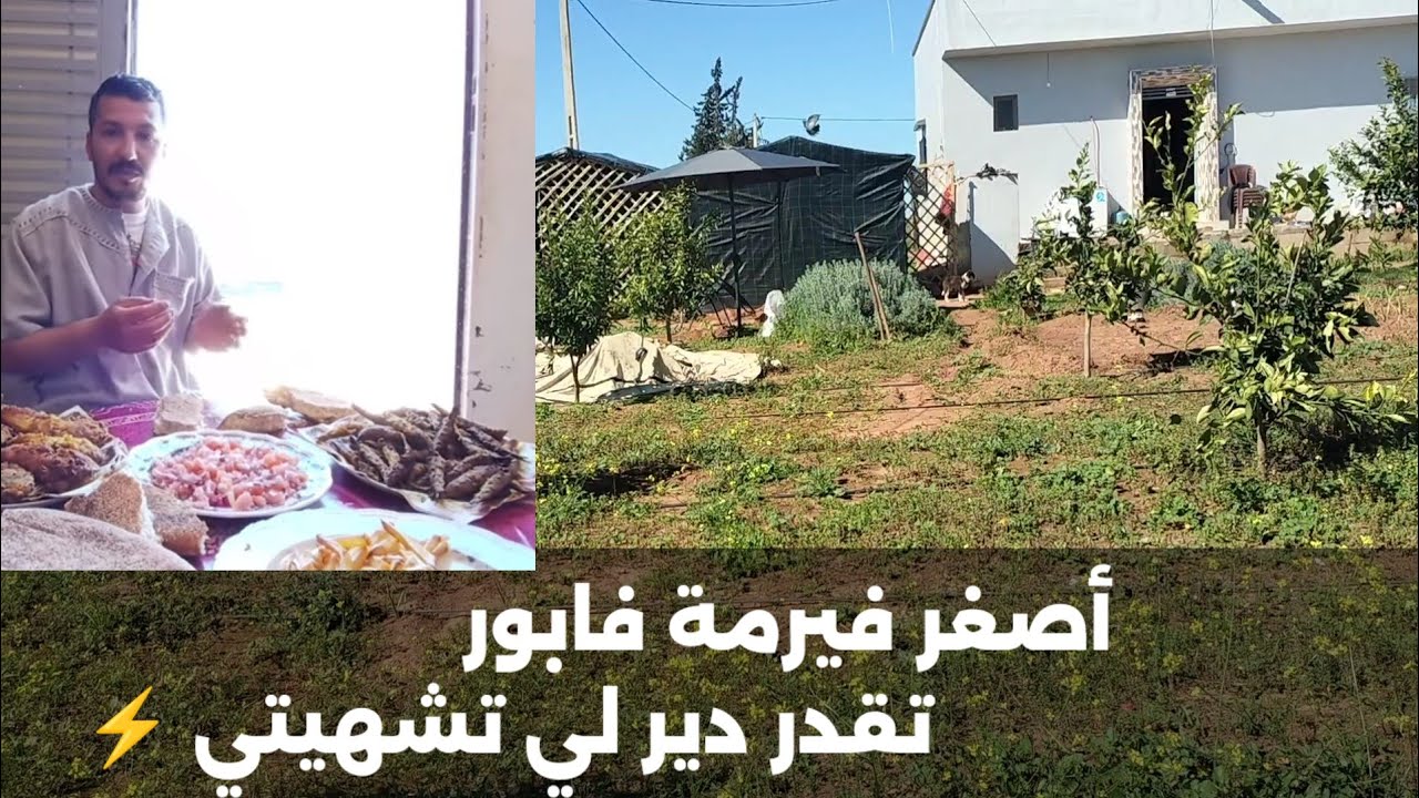 فيرمة الدرويش للبيع أحسن قرار ممكن الانسان ياخذو وشكر خاص لهاد المتابع ⚡