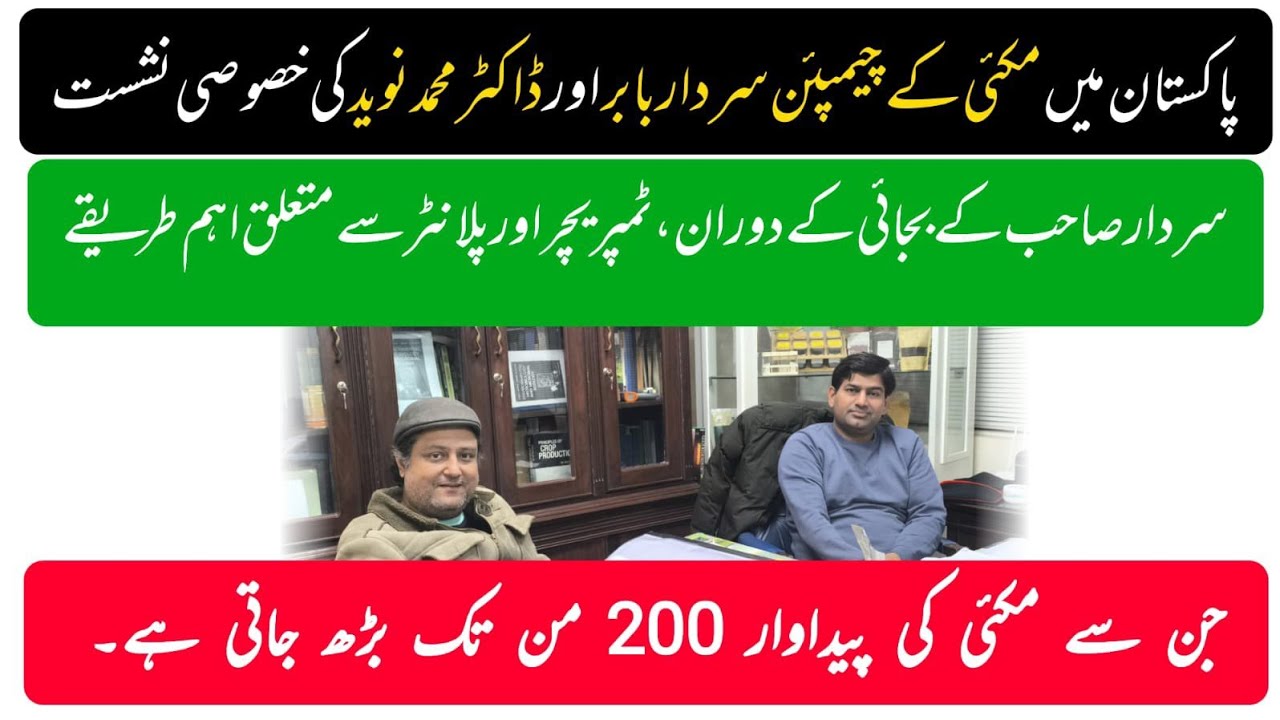 The best sowing time and temperature for spring corn with Sardar Baber Fareed!!