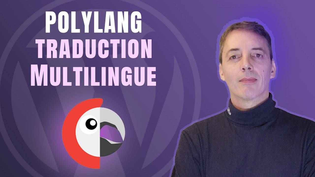 Polylang   extension de traduction multilingue Wordpress