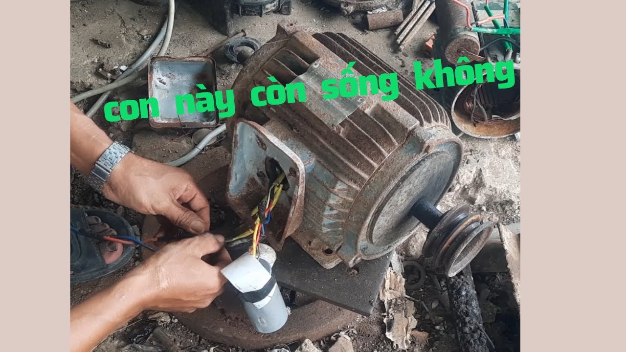 cách đo motor còn sống hay đã  cháy,  thanh kim motor.