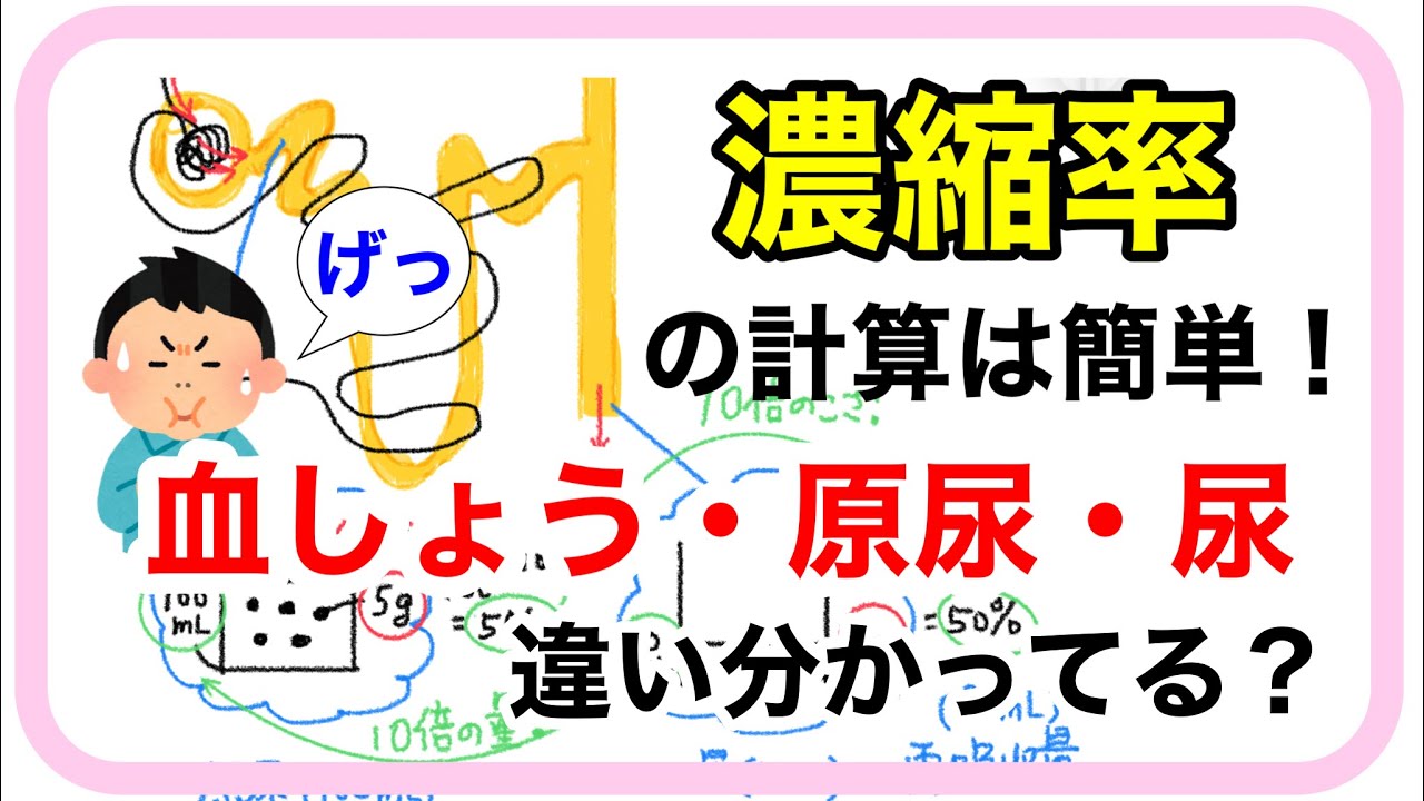 【生物基礎】腎臓  尿生成の計算問題は本質を理解せよ！