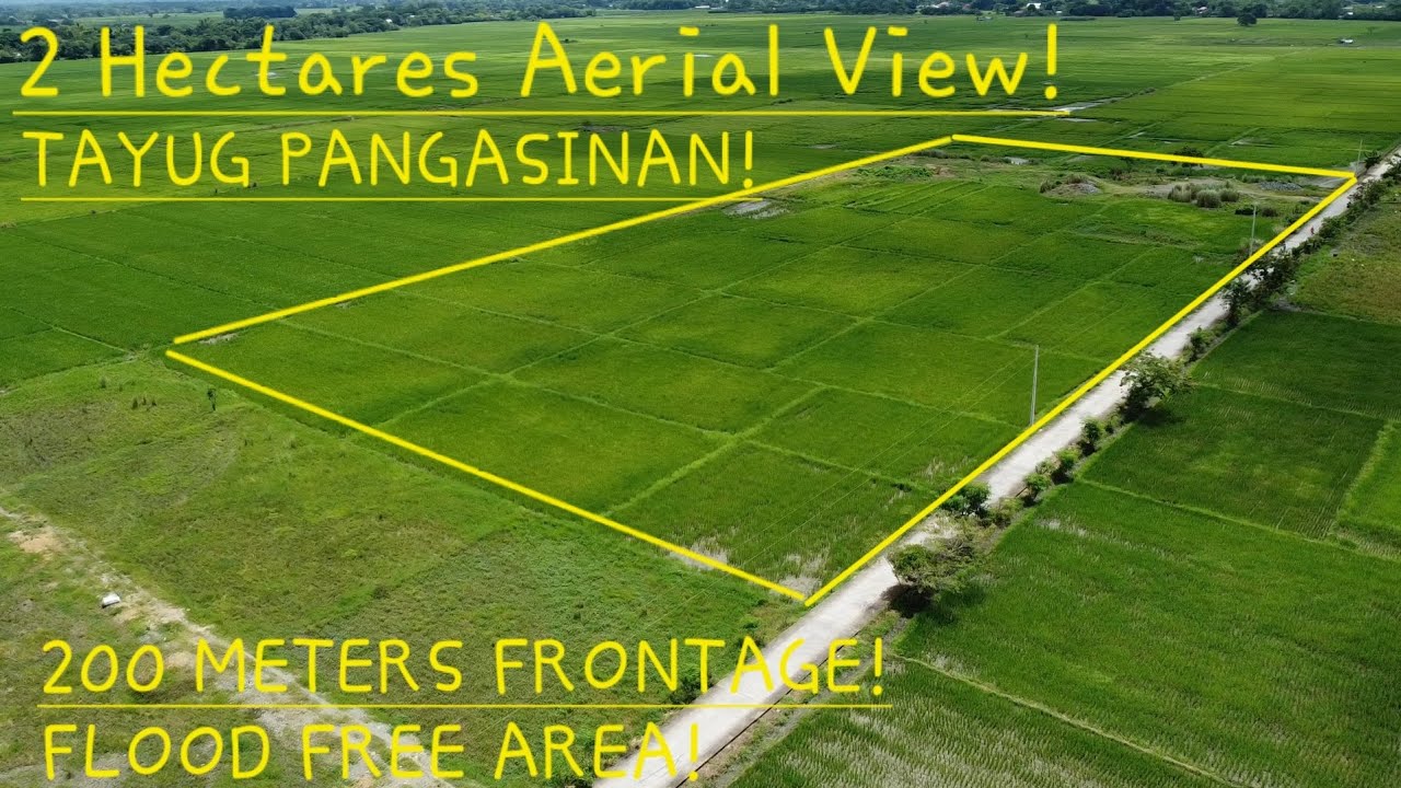 NICE PROPERTY IN TAYUG PANGASINAN 2 HECTARES TITLED WITH 200 METERS FRONTAGE!FLOOD FREE AREA!