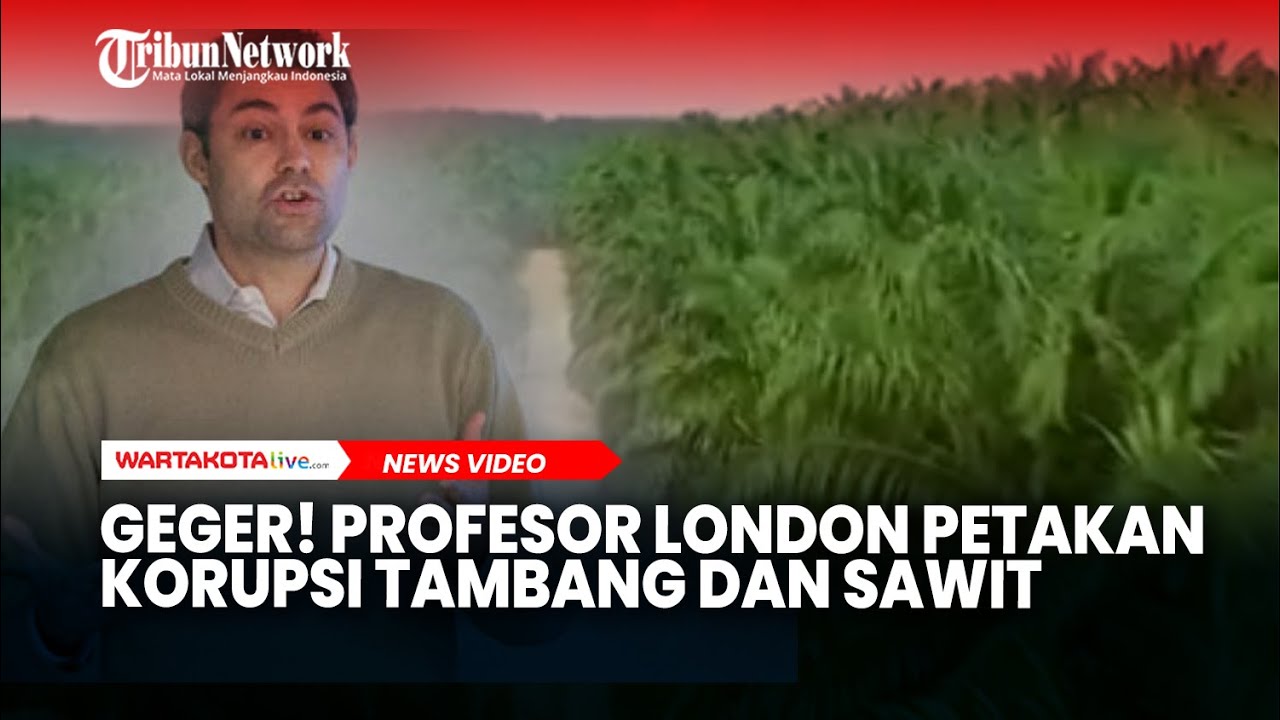 Geger! Profesor London Petakan Korupsi Tambang dan Sawit yang Rugikan Indonesia Rp186,48 Triliun