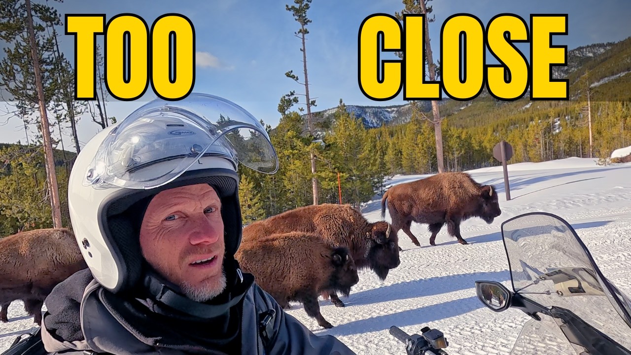 I spent 3 days AT Yellowstone in the  Winter — No Guides, No Cabins