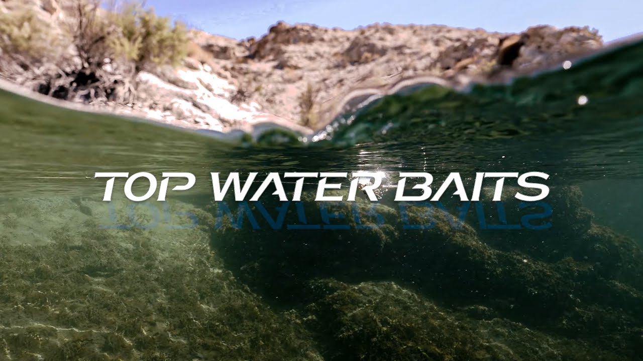 Ever Green Topwaters Baits- JT and SB