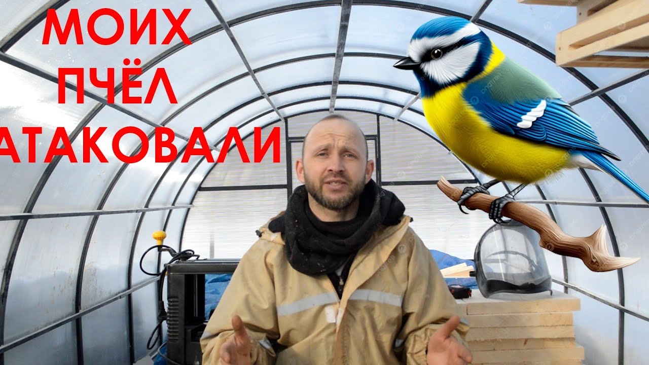 Защити своих пчёл этой весной