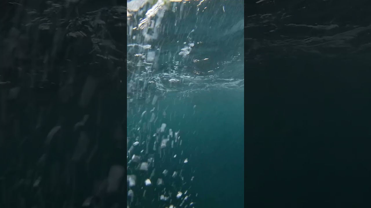 Naples Fishing 🌊 #fishinglife #fishing #italy #spearfishing #fish #ocean #gopro #naples