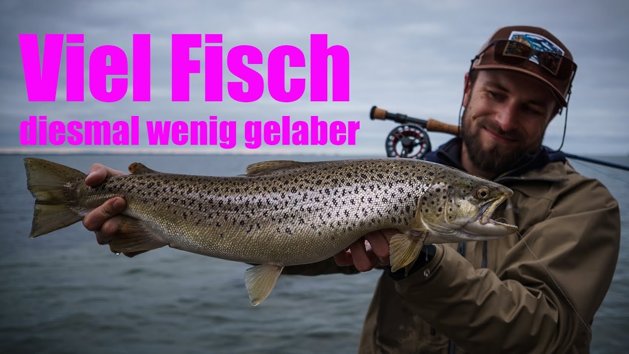 Auf Meerforelle im Herbst | viel Fliegenfischen, wenig Spinnfischen