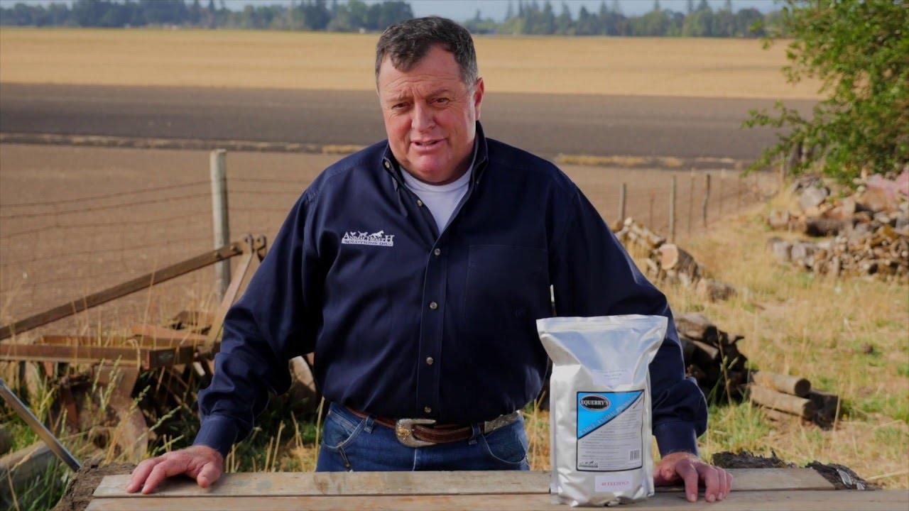 Equerry's Large Animal Probiotic : Animal Health Solutions Inc.