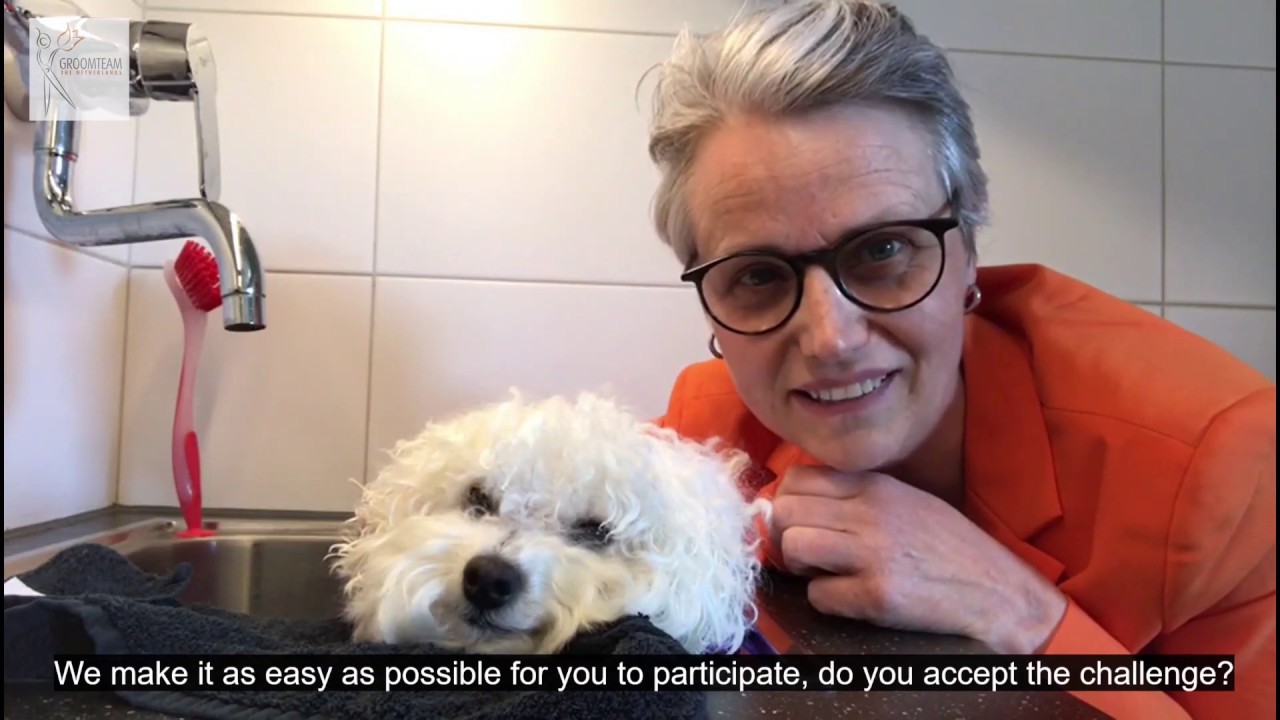 #Stayhome Grooming contest Benelux