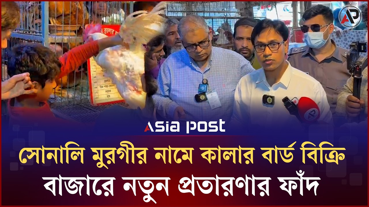 সোনালি মুরগীর নামে কালার বার্ড বিক্রি, বাজারে নতুন প্রতারণার ফাঁদ | Chicken | Vokta Odhikar