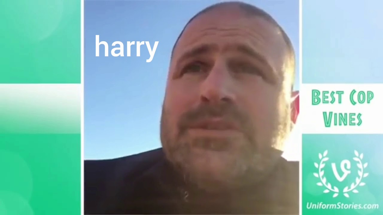 damn vine twin peaks