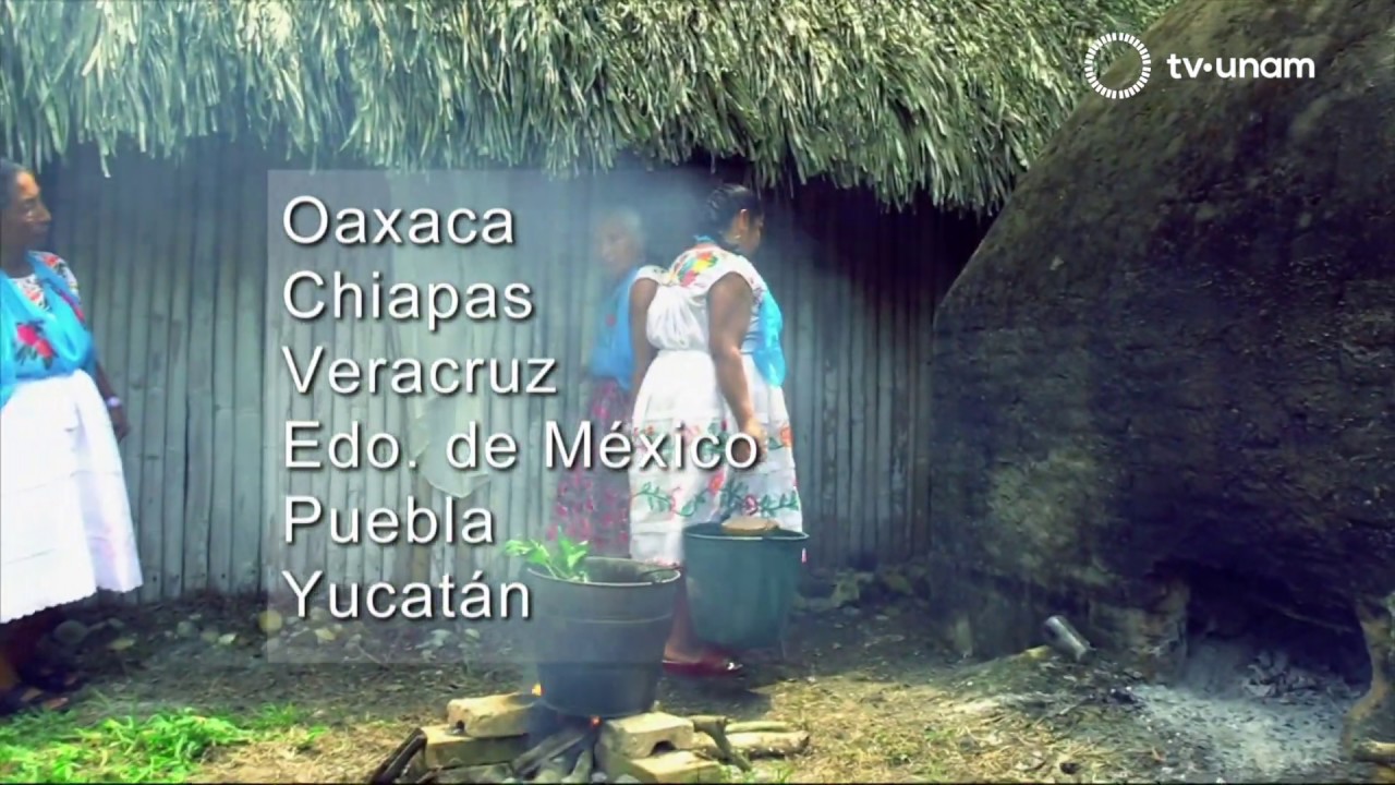 ESCUELA DE MEDICINA TRADICIONAL  TOTONACA