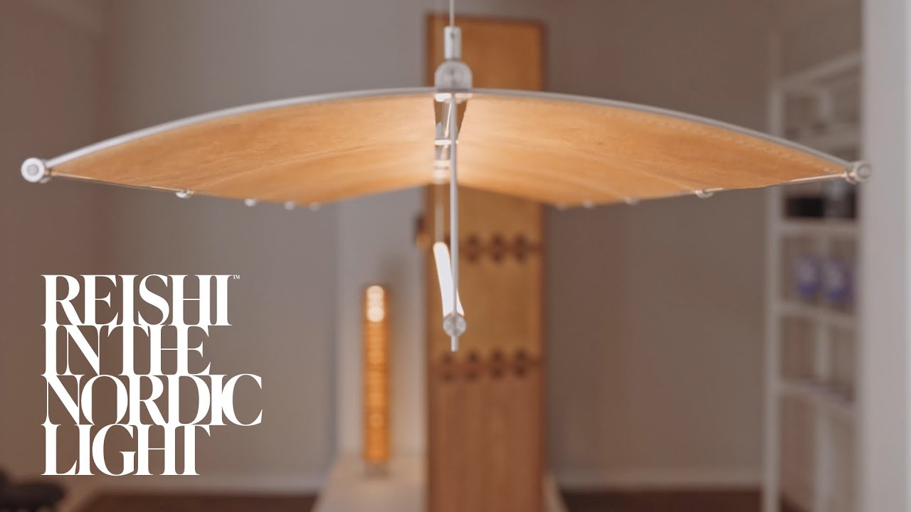 Reishi In the Nordic Light: Mycelium in Danish Furniture Design