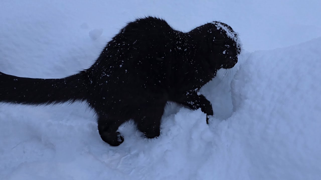 So happy in the snow! ❄️😂