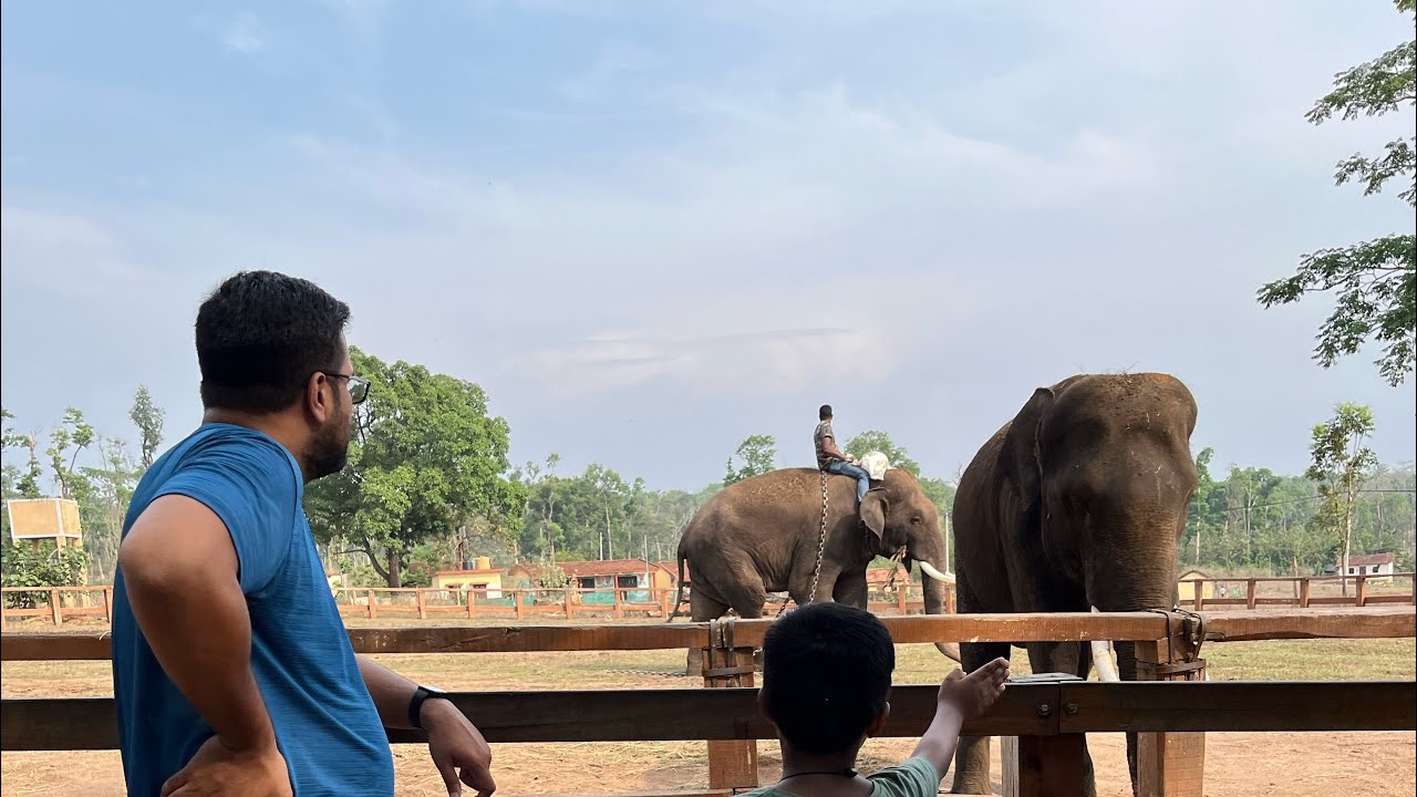 Exploring Madikeri so many animals and fun #elephants #birds #trending #viral #family #trip 