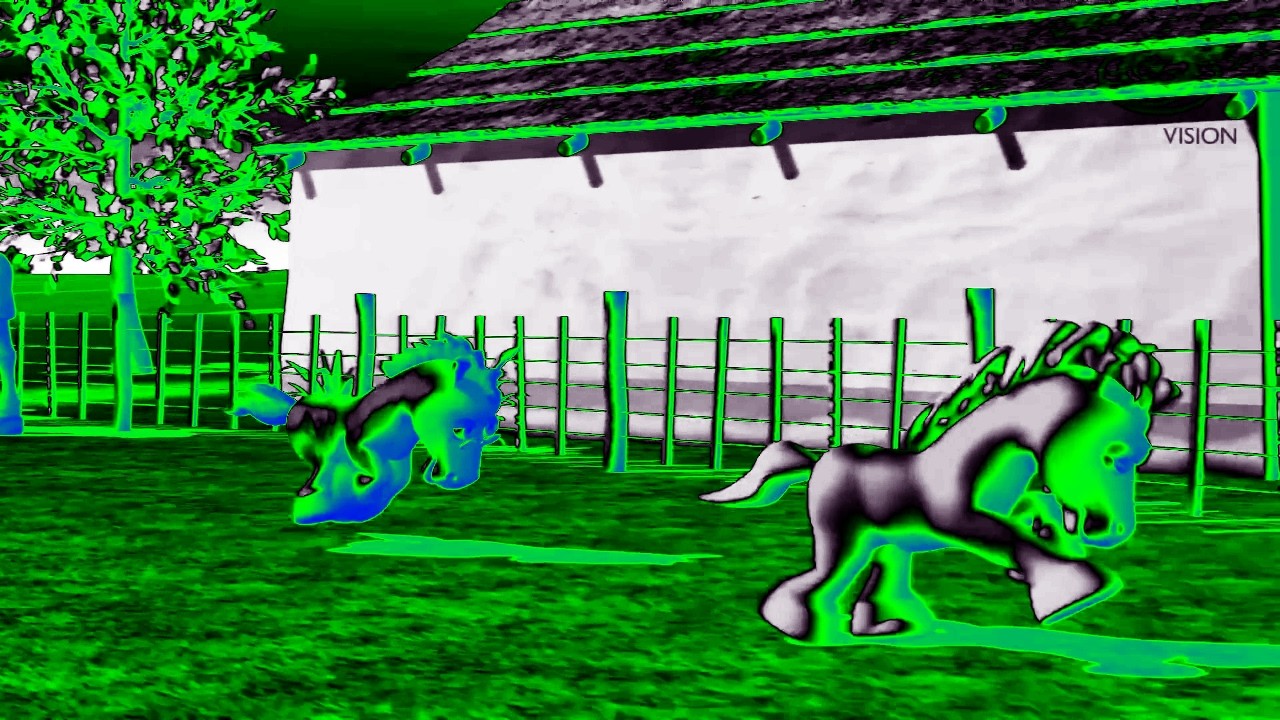 Caballo Verde  Y Es Tan Inteligente Que Hasta Sponsored by Gamavision Csupo Effects
