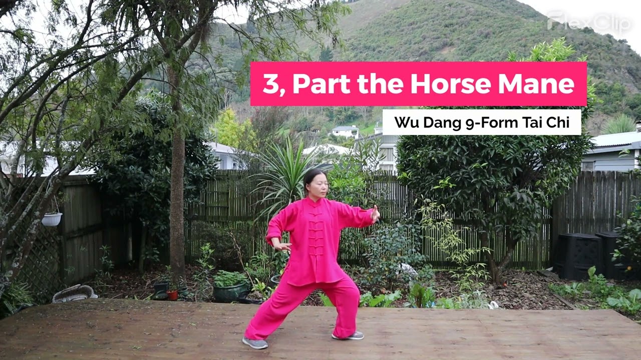 Wu Dang 9-Form Tai Chi -Full 9 forms (front) demo