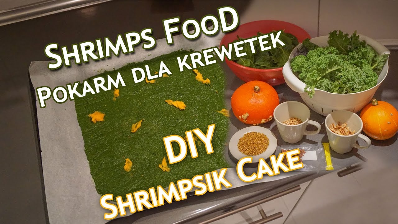 Pokarm dla krewetek własnej roboty | Shrimp Food DIY 2017