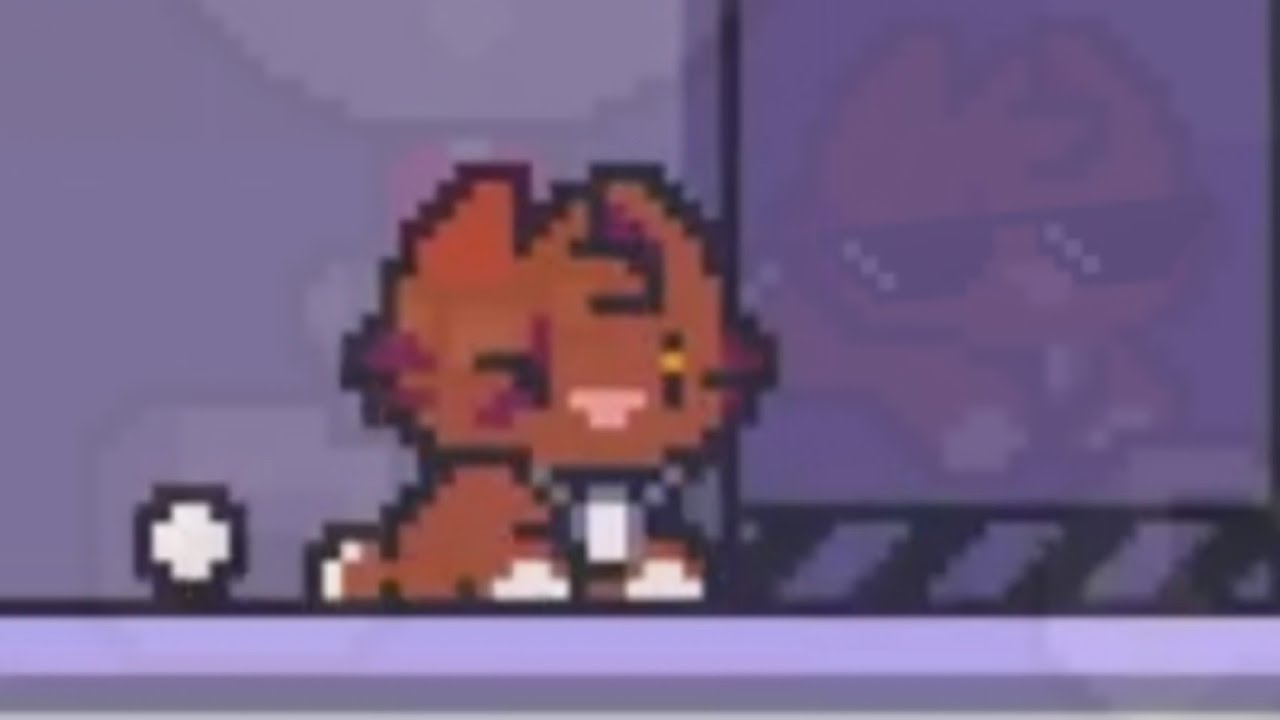 MCMEOW BECOMES CANNY