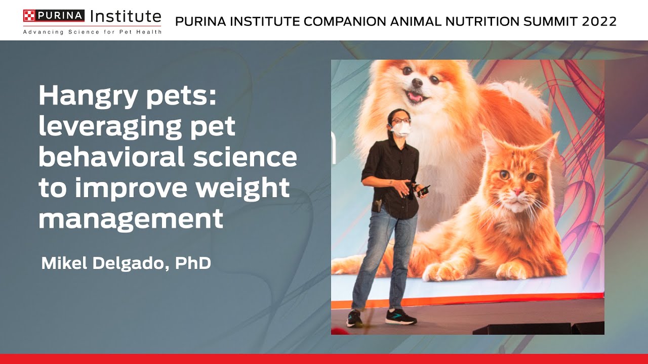 Hangry pets: leveraging pet behavioral science to improve weight management - CAN Summit 2022