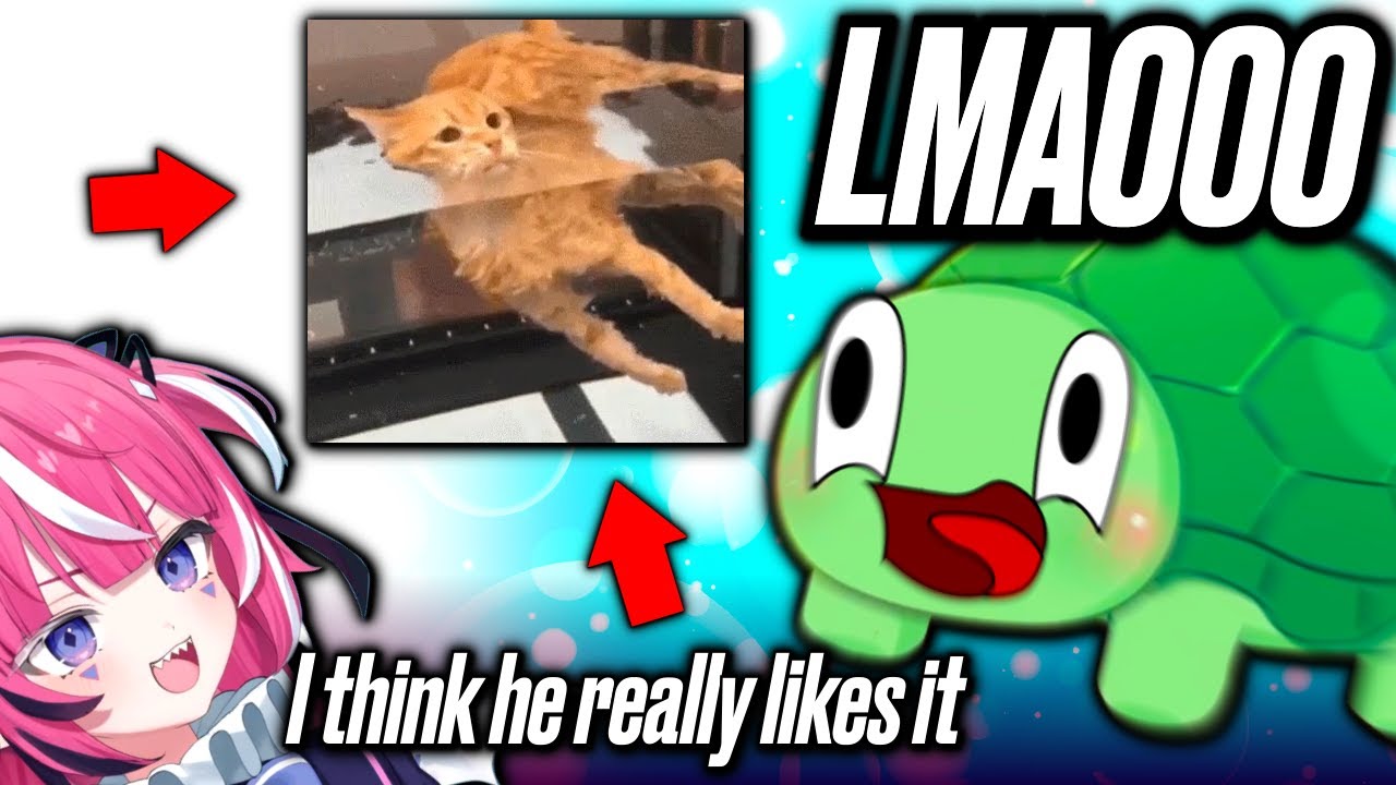Vedal Died from Laughter seeing this Emote