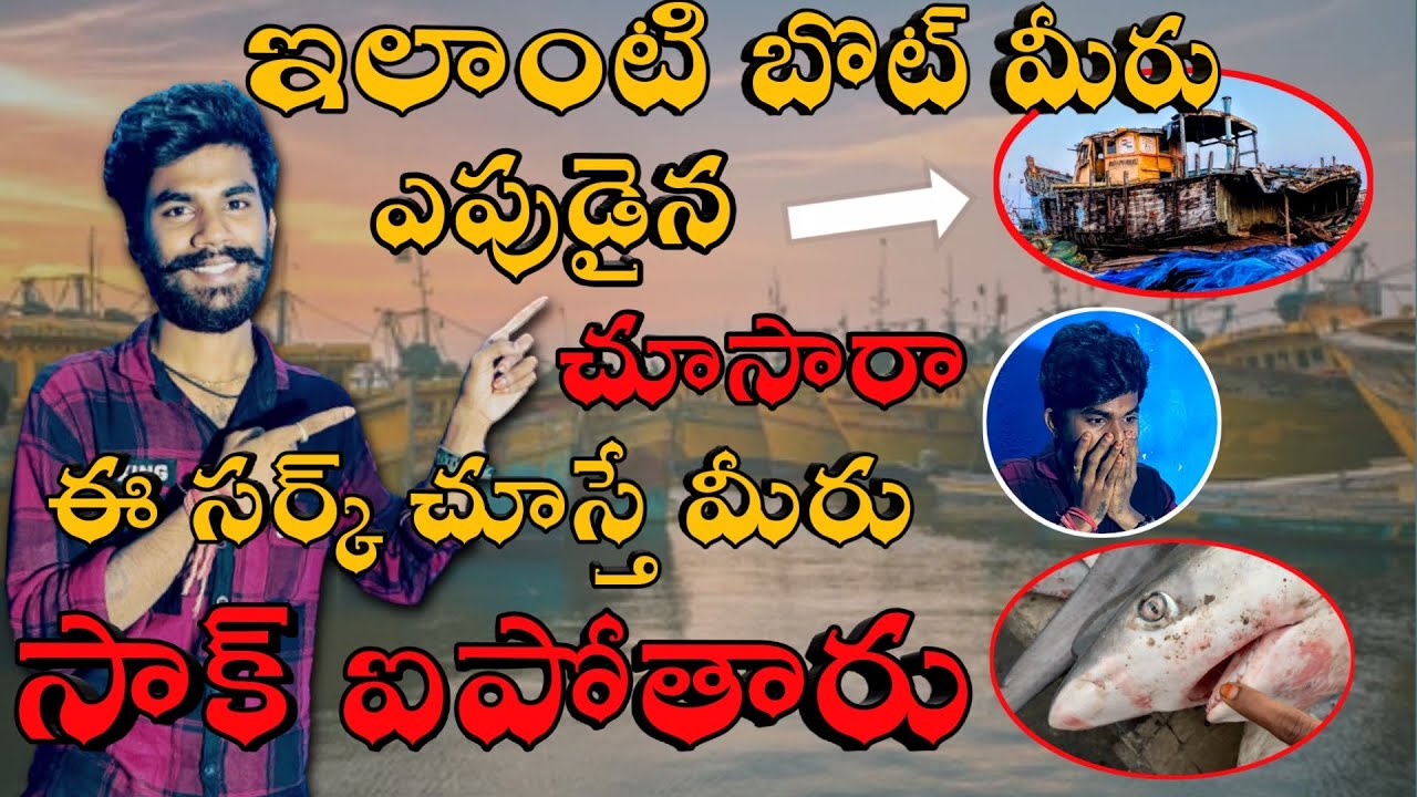 Big Shark Fish and Unique Fishing Boats in Fishing Harbour | RLkiller | Vizag Vlogs | Telugu Vlogs