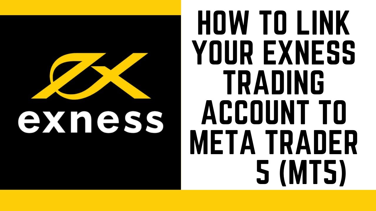 Как привязать свой торговый счет Exness к Meta Trader 5 (MT5) &mdash; очень подробно!
