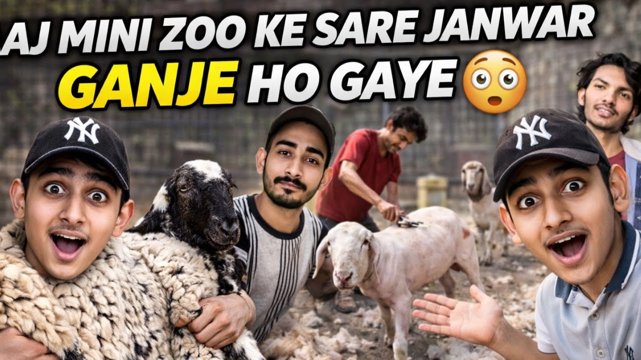 Mini Zoo Ke Janwar GANJE Ho Gaye 😳😂