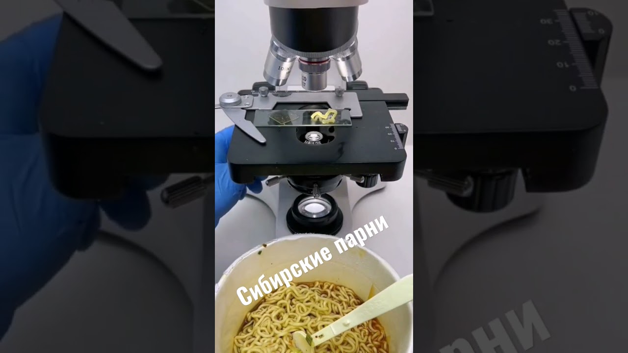 лапша под микроскопом
