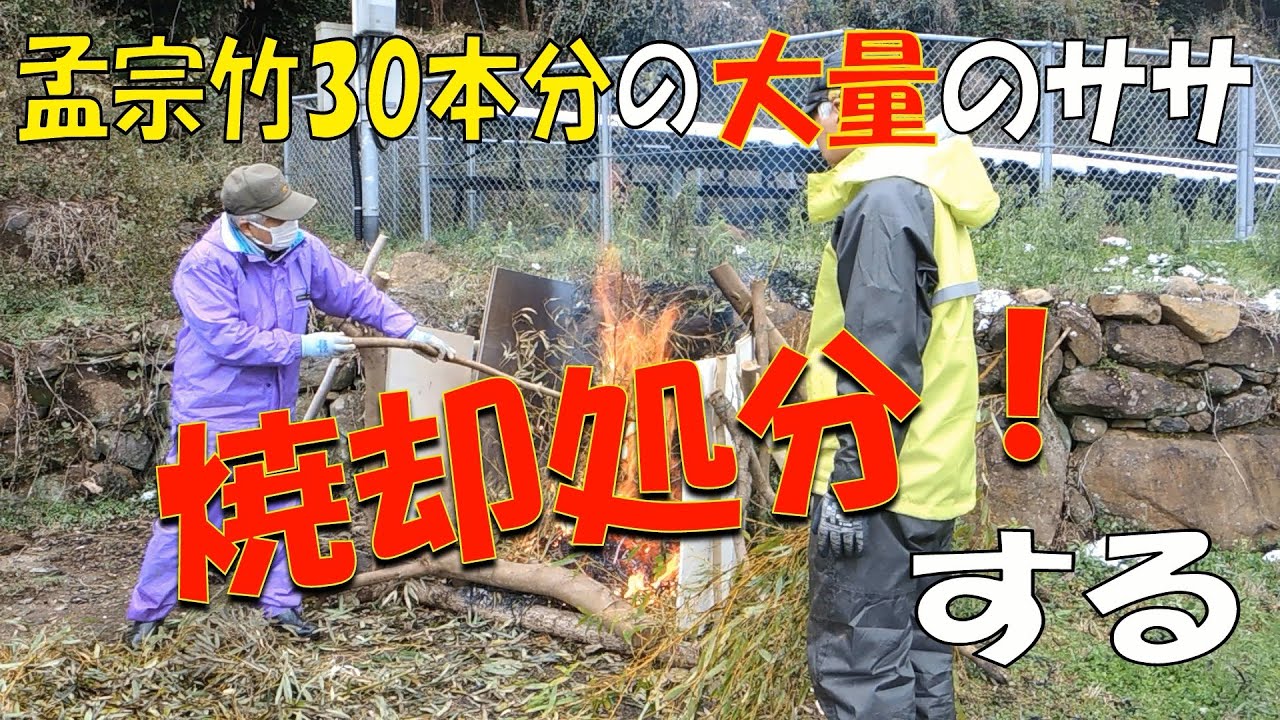 【原野化への抗い】大量のササ、すべて焼却処分する！