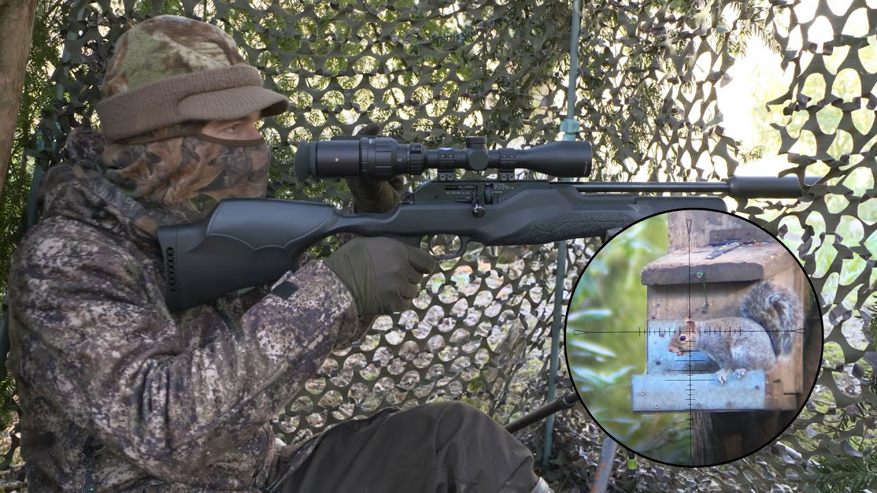 The Airgun Show – manic squirrel hunt with the Walther RM8, PLUS the new BSA Ultra CLX on test…