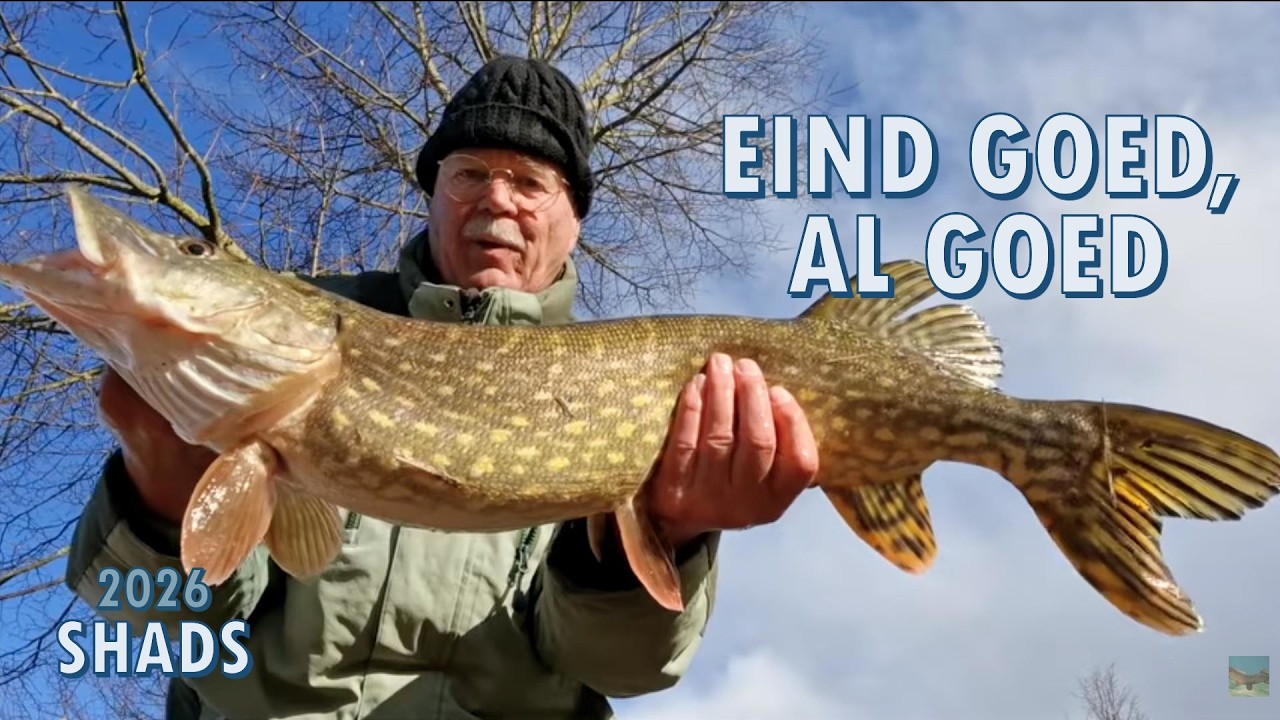 SNOEKEN met SHADS & sardines | 2026 deel 1
