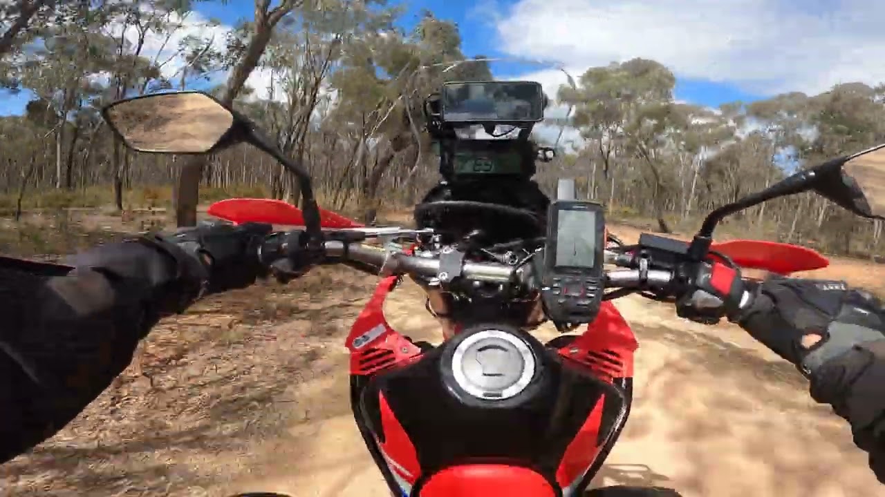 CRF 300 L rally Wheelies for Fun #crf300  #hondacrf300l