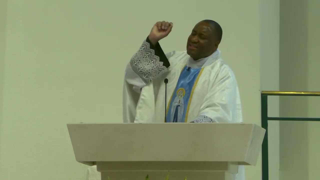 Fr Shea Homily Sixth Sunday in Ordinary Time & Feast of Our Lady of Lourdes Vigil 2026