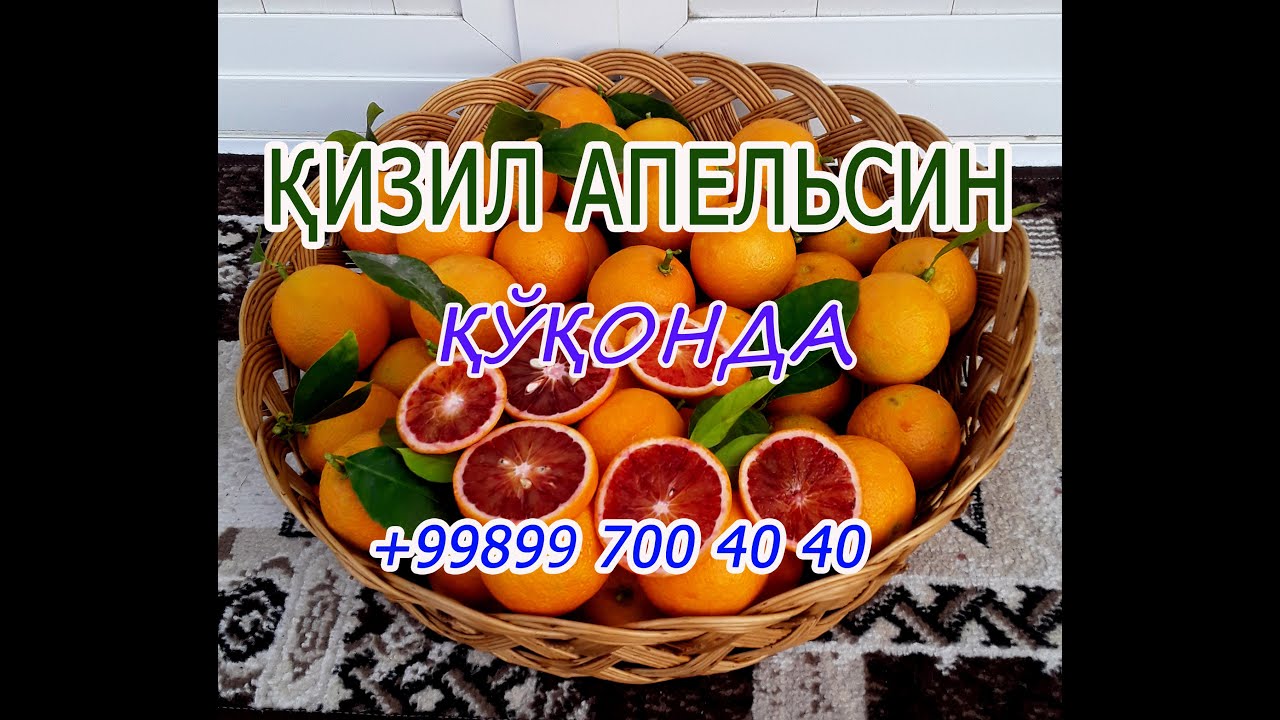 Қизил апельсин Ўзбекистонда, Қўқонда. Кўчатларига заказ оламиз. Ноёб сорт.