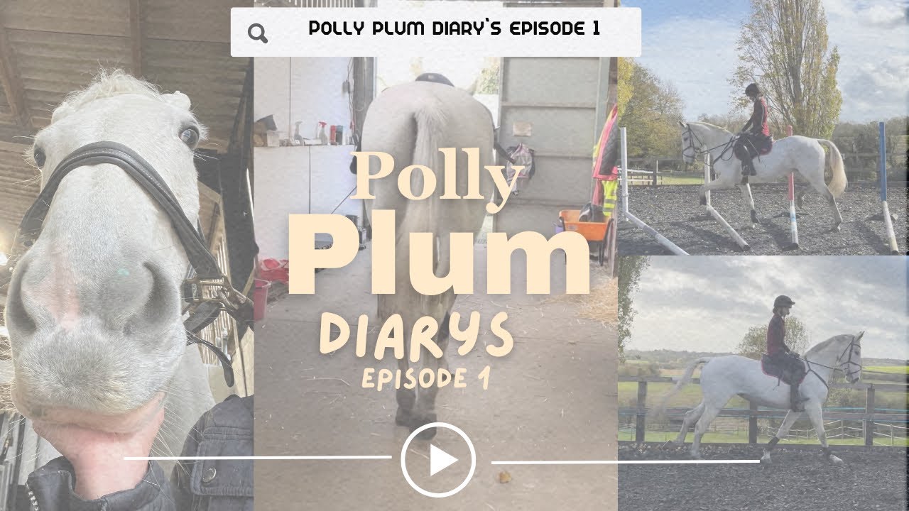 Polly Plum diaries! Episode 1