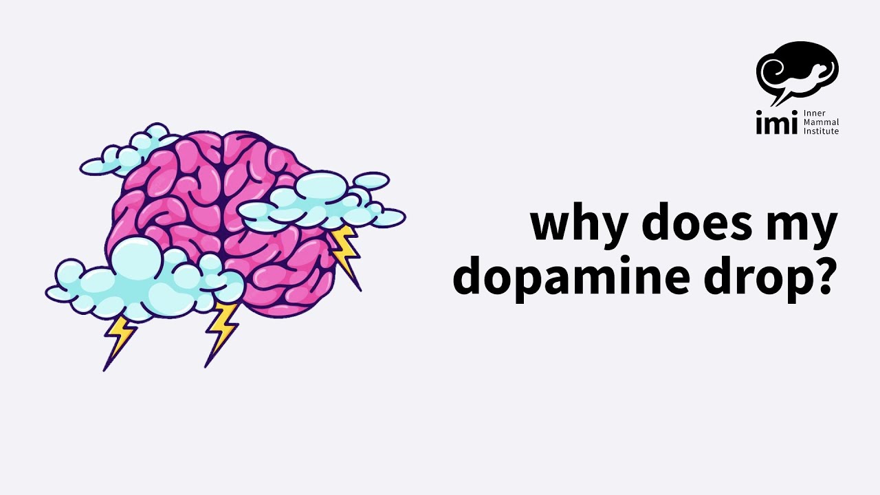 Why does my dopamine drop?