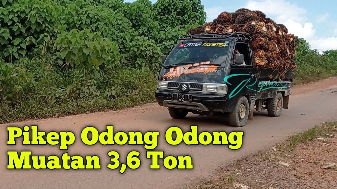 Pikep Odong Odong ‼️ Muatan 3,6 Ton