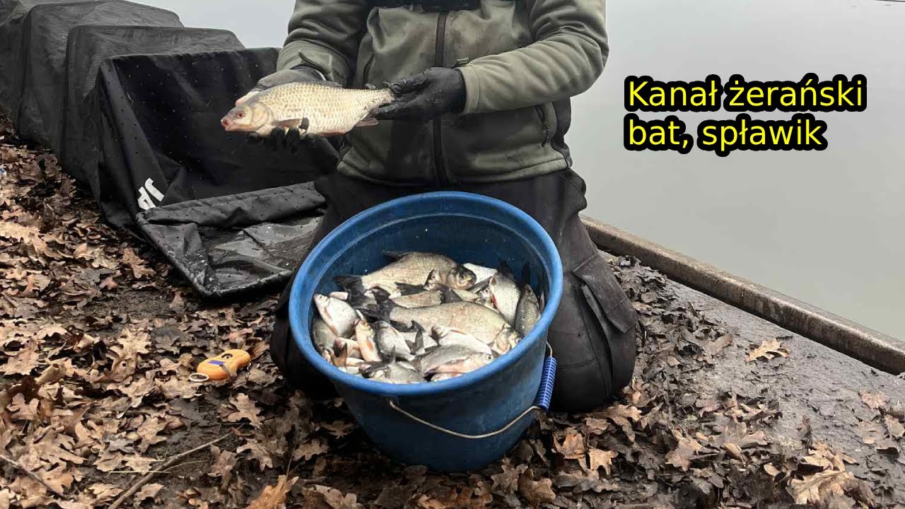 Kanał żerański - spławik, bat - gruntowanie, czy łowienie na bata jest skuteczniejsze ?