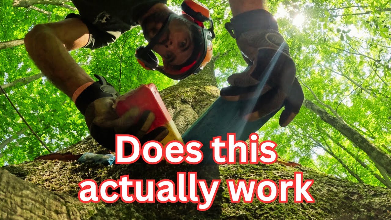 Felling a tree against its lean