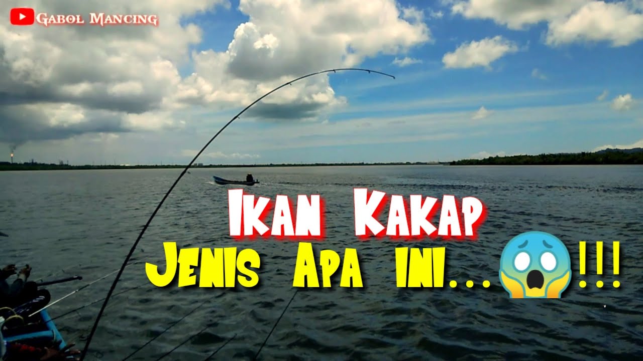 Baru Kali Ini,Mancing Di Muara Dapat Ikan Kakap Jenis Ini......!!!😱