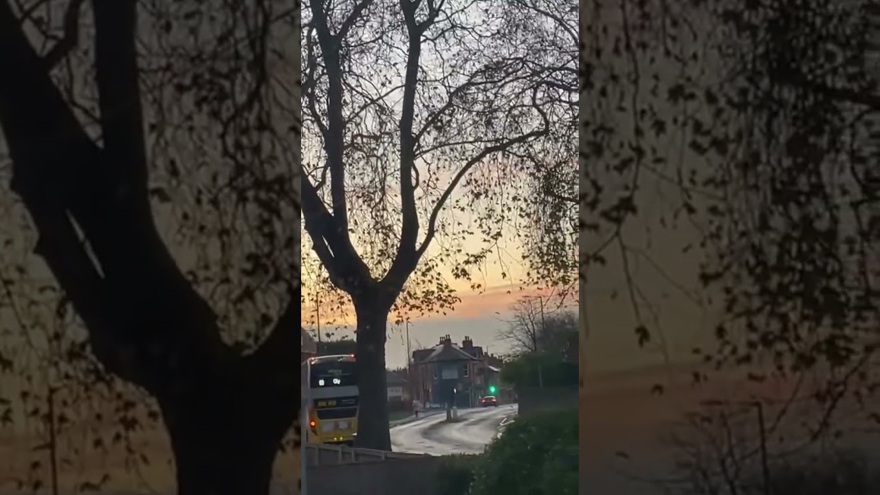Beautiful Morning Walk in Nottingham 🌅 | Calm Sunrise Vibes