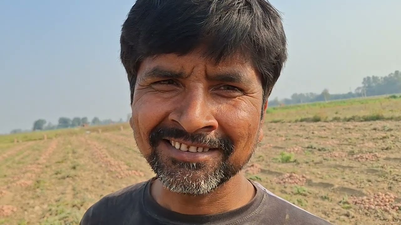 आज गांव आए हैं आलू खुदवाने 