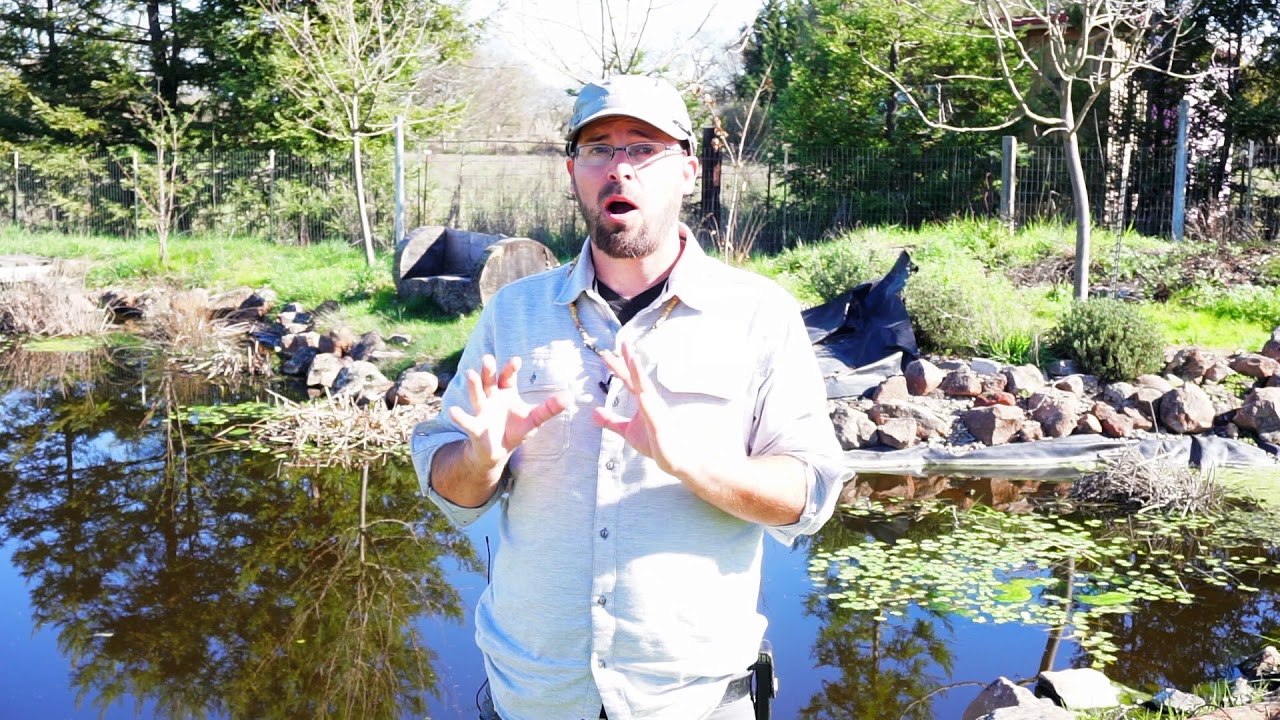 Do Money & Permaculture Mix? with Erik Ohlsen