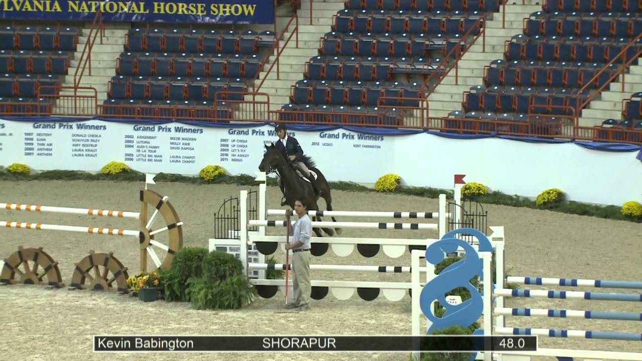 1 SHORAPUR Kevin Babington, Class 201 Open Jumper Speed, III