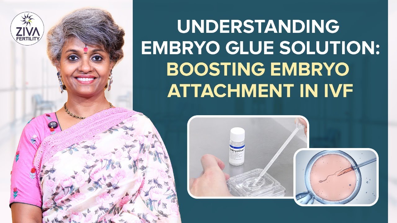 Embryo Transfer With Embryo Glue In IVF | IVF Success Tips | Dr C Suvarchala | Ziva